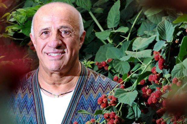 Cultivo de frutas vermelhas vira opção econômica em Vacaria Caco Konzen/Especial